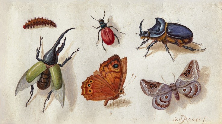 Wirklich – Kunst und Realität 1400 bis 1900